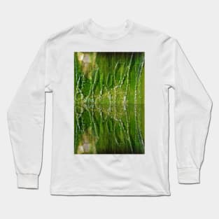 Fountain Reflections Long Sleeve T-Shirt